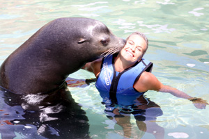 sacks the seal gives hayley a kiss photo harvie allison.jpg
