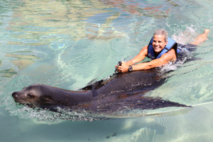 sacks the seal gives hayley a ride photo harvie allison.jpg